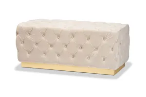 Larissa Grey Velvet Fabric Gold Finished Tufted Storage Ottoman