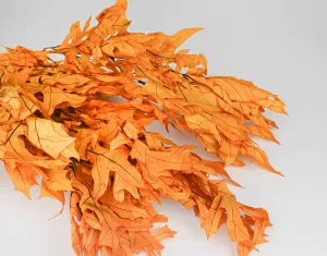 Preserved Mango Oak Leaves (1 LB dried leaves)